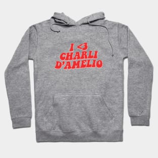 I LOVE CHARLI D'AMELIO Hoodie